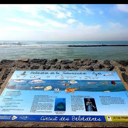 Apartment Vacance Au Grau D'agde *